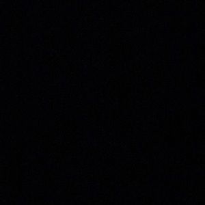 Meet your Posher, Brynn